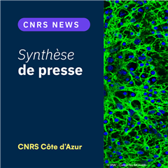 Image illustrant cette actualité