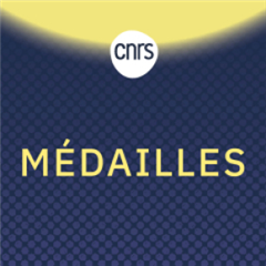 Image illustrant cette actualité