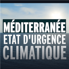 Image illustrant cette actualité