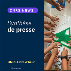 Image illustrant cette actualité