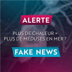 Image illustrant cette actualité