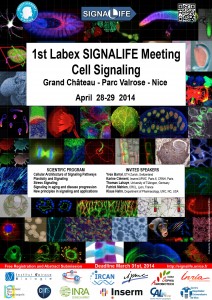 Vignette illustrant cette actualité