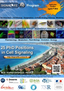 Vignette illustrant cette actualité