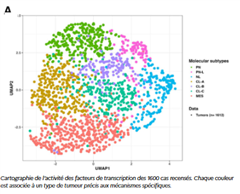 Vignette illustrant cette actualité
