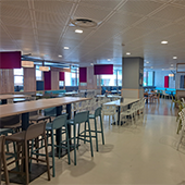 Vignette illustrant cette actualité