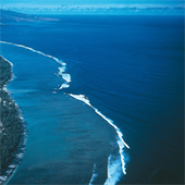 Vignette illustrant cette actualité