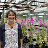 Vignette illustrant cette actualité