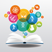 Image illustrant cette actualité