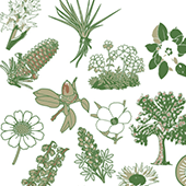 Vignette illustrant cette actualité