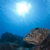 Vignette illustrant cette actualité