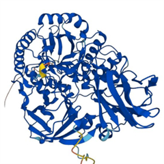 Vignette illustrant cette actualité