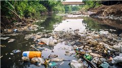 Vignette illustrant cette actualité