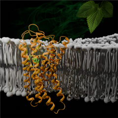 Vignette illustrant cette actualité