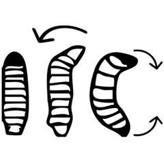 Vignette illustrant cette actualité