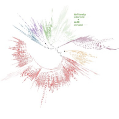 Vignette illustrant cette actualité