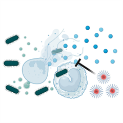 Vignette illustrant cette actualité