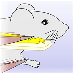 Vignette illustrant cette actualité