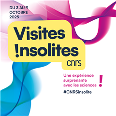 Vignette illustrant cette actualité