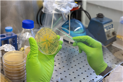 Vignette illustrant cette actualité