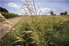 Vignette illustrant cette actualité