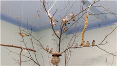 Vignette illustrant cette actualité