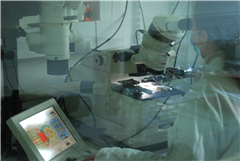 Image illustrant cette actualité