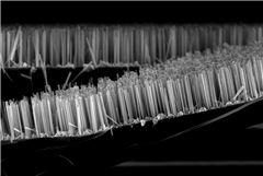 Image illustrant cette actualité