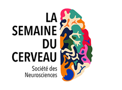 Vignette illustrant cette actualité