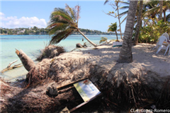 Vignette illustrant cette actualité