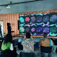 Vignette illustrant cette actualité