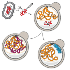 Vignette illustrant cette actualité