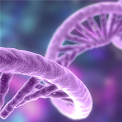 Vignette illustrant cette actualité