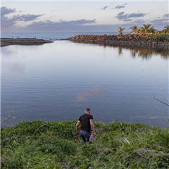 Vignette illustrant cette actualité