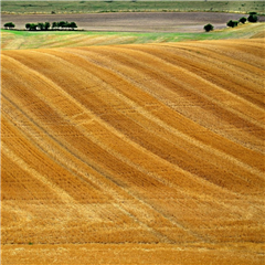 Vignette illustrant cette actualité