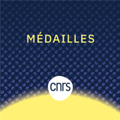 Vignette illustrant cette actualité