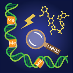 Vignette illustrant cette actualité