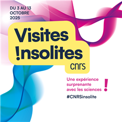 Vignette illustrant cette actualité