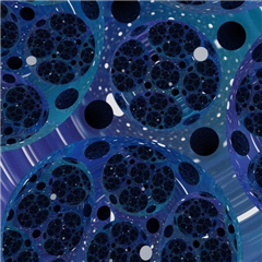 Vignette illustrant cette actualité