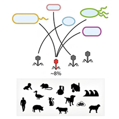 Vignette illustrant cette actualité
