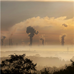 Vignette illustrant cette actualité