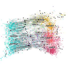 Vignette illustrant cette actualité