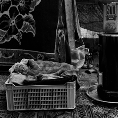 Image illustrant cette actualité