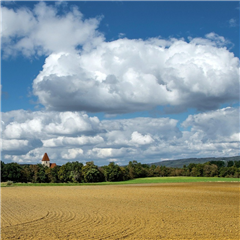 Image illustrant cette actualité