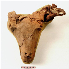 Image illustrant cette actualité