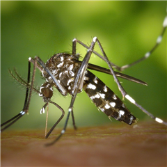 Vignette illustrant cette actualité