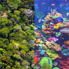 Vignette illustrant cette actualité