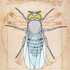 Vignette illustrant cette actualité