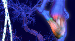 Vignette illustrant cette actualité