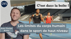 Vignette illustrant cette actualité