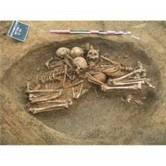 Vignette illustrant cette actualité